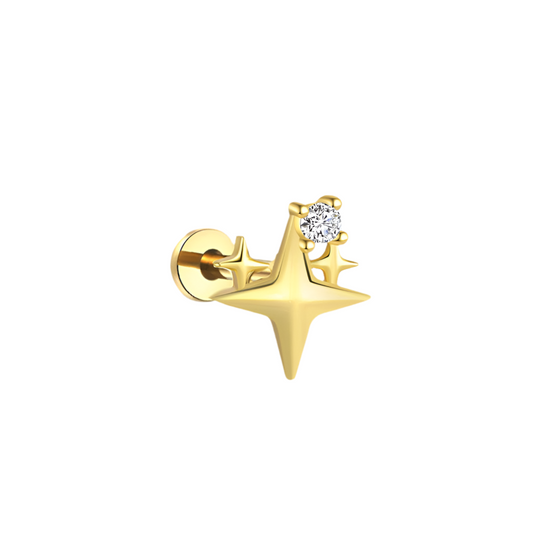 Stud Aconit